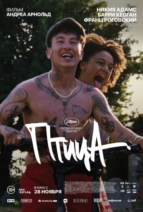 Фильм Птица (2024) смотреть онлайн в хорошем качестве